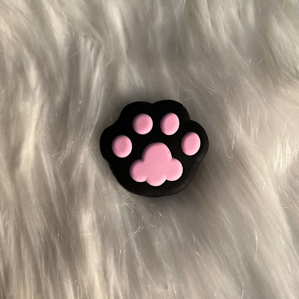 Bombay cat paw