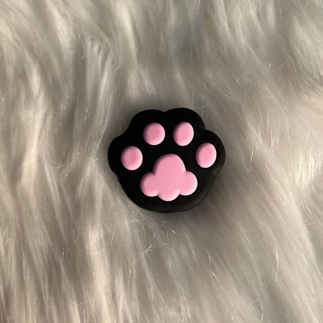 Bombay cat paw